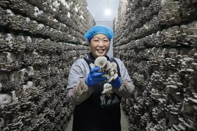 走在前 開新局！闖出綠色循環'大村模式'，引領食用農產品高質量發展