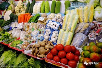 高明首座農產品快檢室投用，織密餐桌安全防護網